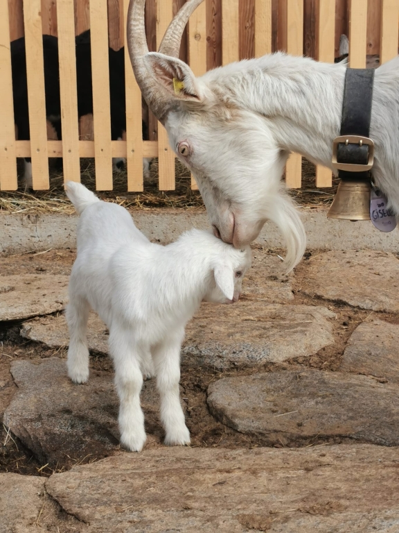 GISELLE e la piccola ELLA